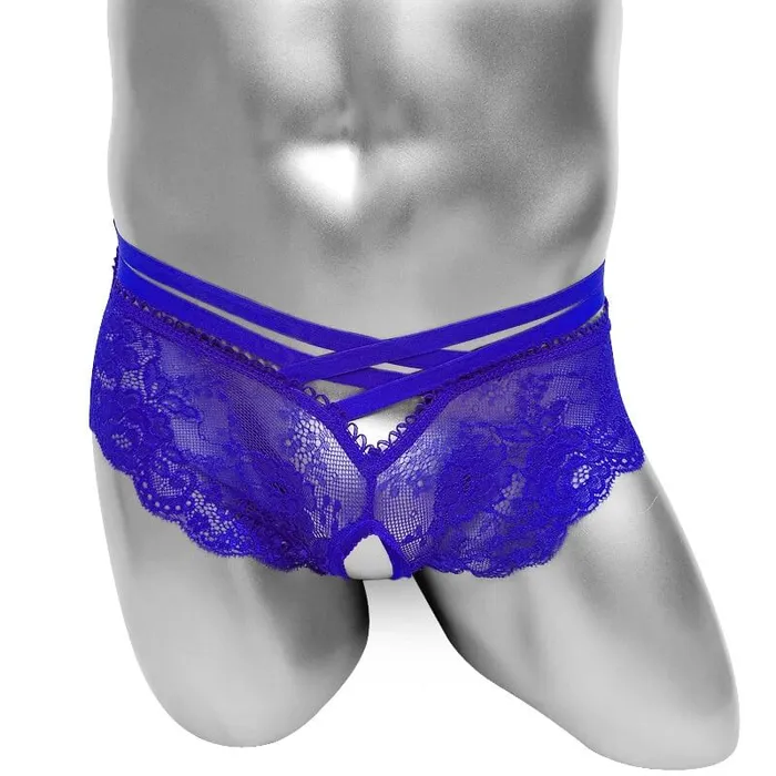 Sexy Mens Transparent Panties With Open Crotch Erotic Male Lace Underwear EVEs SECRETS Male Sex Toys